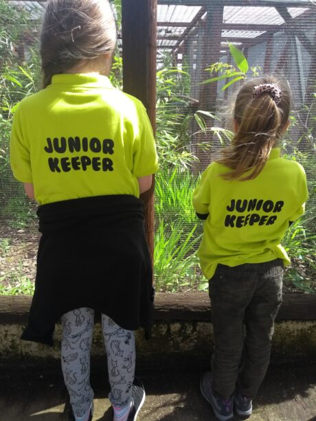 Two girls standing with their backs to the camera wearing shirts that say junior keeper on the back of them