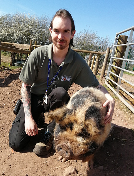 Animal Zone Keeper Daniel with a pig