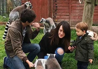 A family taking part in a lemur encounter