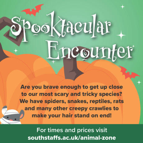 Rodbaston Animal Zone Halloween Encounter Graphic