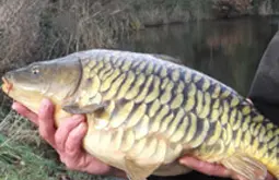 Man holding a fish from Rodbaston Aquaculture