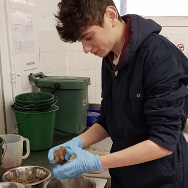 Adam Stamps wearing blue gloves preparing food for animals