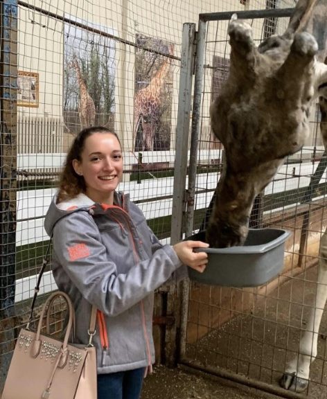 Photo of HE student Georgia Walklate feeding a giraffe