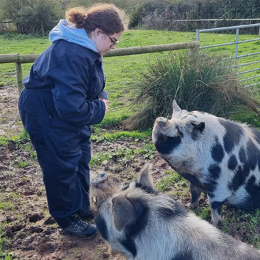Photo of student Hannah Robathan training two pigs