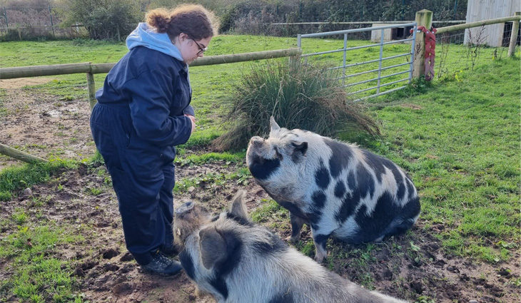 Hannah Robathan training pigs 730x425