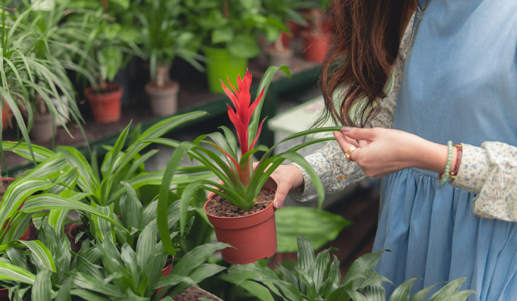 Horticulture 3