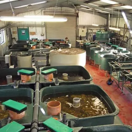 Growing Room at Rodbaston Aquaculture