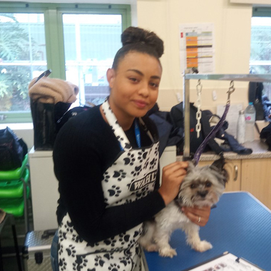 Jodie Lee Dog Grooming Student