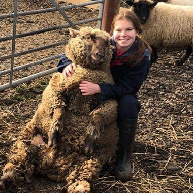 Zoe Thompson crouching down holding a sheep