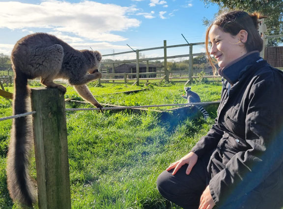 Photo of Animal Care student looking at Red-Fronted Lemur