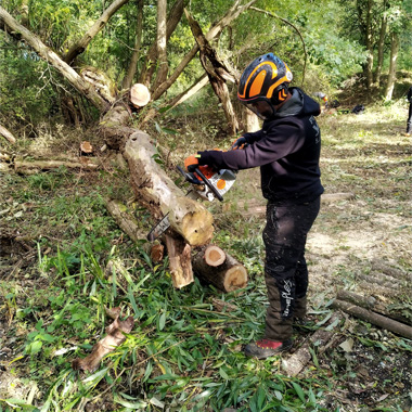 Photo of student Oscar Smith starting to clear up some wind blown trees that were overhanging a path