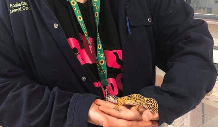 Landbased Student holding lizard