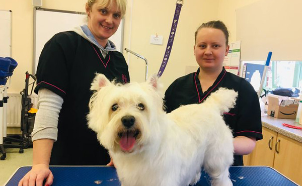two dog grooming students and a day they are grooming