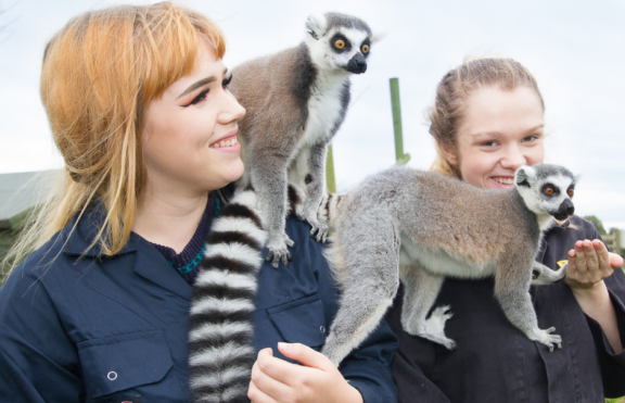 Students and our lemurs at Rodbaston Animal Zone
