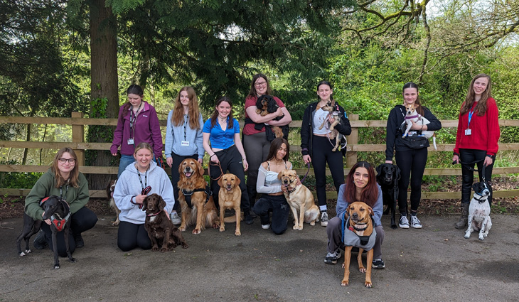 Canine Care Group Shot