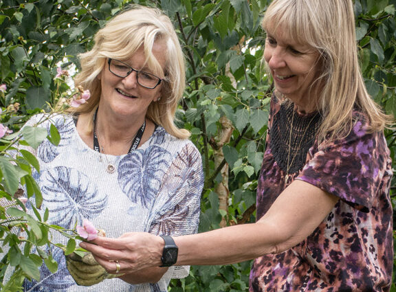 Photo of two adult female horticulture students looking at pink flower
