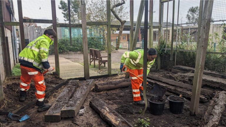 Carnell staff volunteering at Rodbaston Animal Zone in animal enclosure