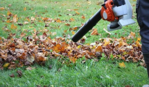 NPTC Level 2 Award in the Safe Use of Handheld Leaf Blowers and Vacuums ...