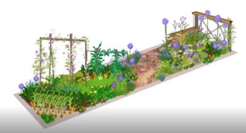 RHS Students garden designs for BBC Gardeners World